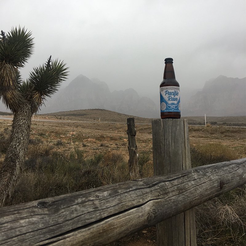 NinkasiBrewing's tweet photo. A little bit of rain in the desert. 🌵🌧 #NinkasiBrewing | #PacificRain https://t.co/X3O9HsIDex