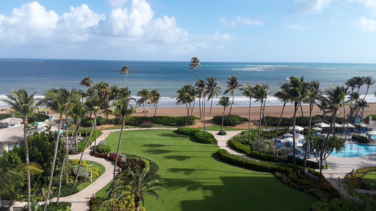 LadyGrayHair's tweet photo. Congrats to Joseph in my lab for his recent receipt of an Lorraine Flaherty Award for his presentation at the International Mammalian Genome Conference...in Puerto Rico, no less! https://t.co/E7FIVpLK7v
