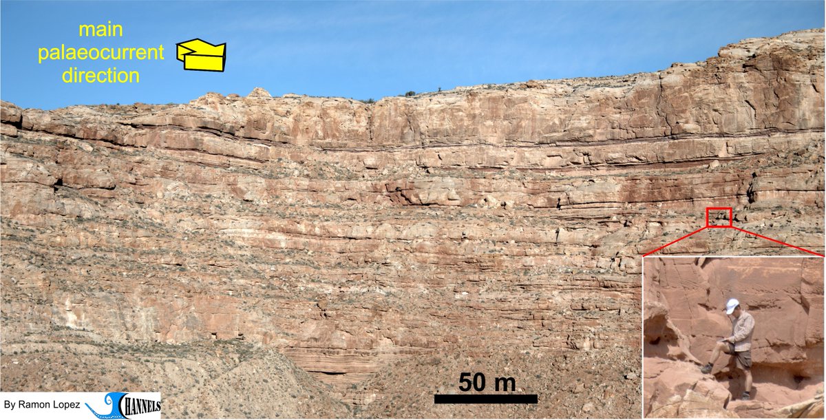 gaias body toward a physiology of earth