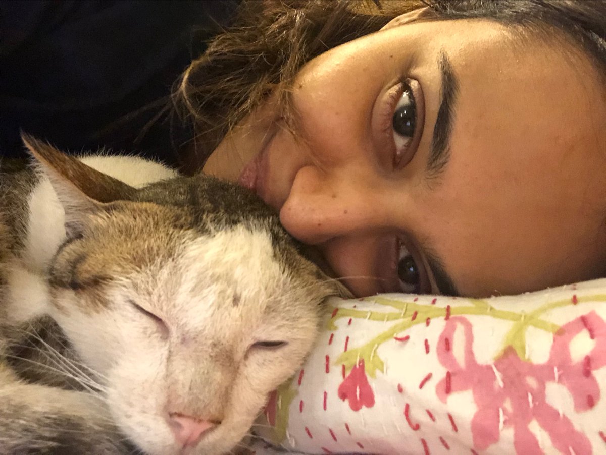 #RIPAtom #AtomTheCat U r an asshole 2 have died in a stupid &amp; totally unnecessary manner. I’m so angry with u. I hope u r happy that u went doing what u loved doing the most- having gruesome cat fights! You were a rogue.. but you were my rogue. ❣️ Rest in peace you stupid chut.