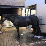 Photo by Susie White (@SW_Eventing)