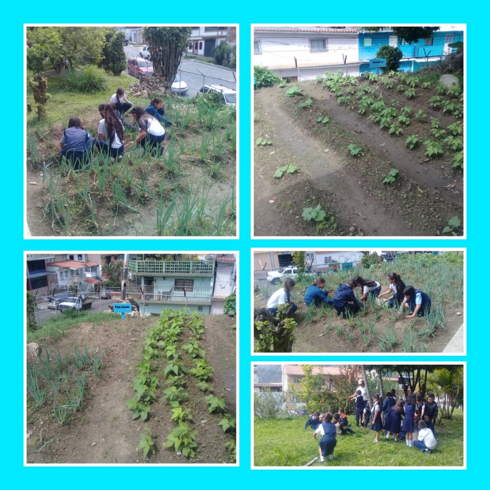 13/11 Mantenimiento y limpieza del Conuco Escolar <a href="/charlychaves/">Charly Rojas Chaves</a> @JorgePerezVZLA @SPETachira @psuvaristobulo <a href="/CLIFPJauregui/">CLIFPMV Jáuregui</a>