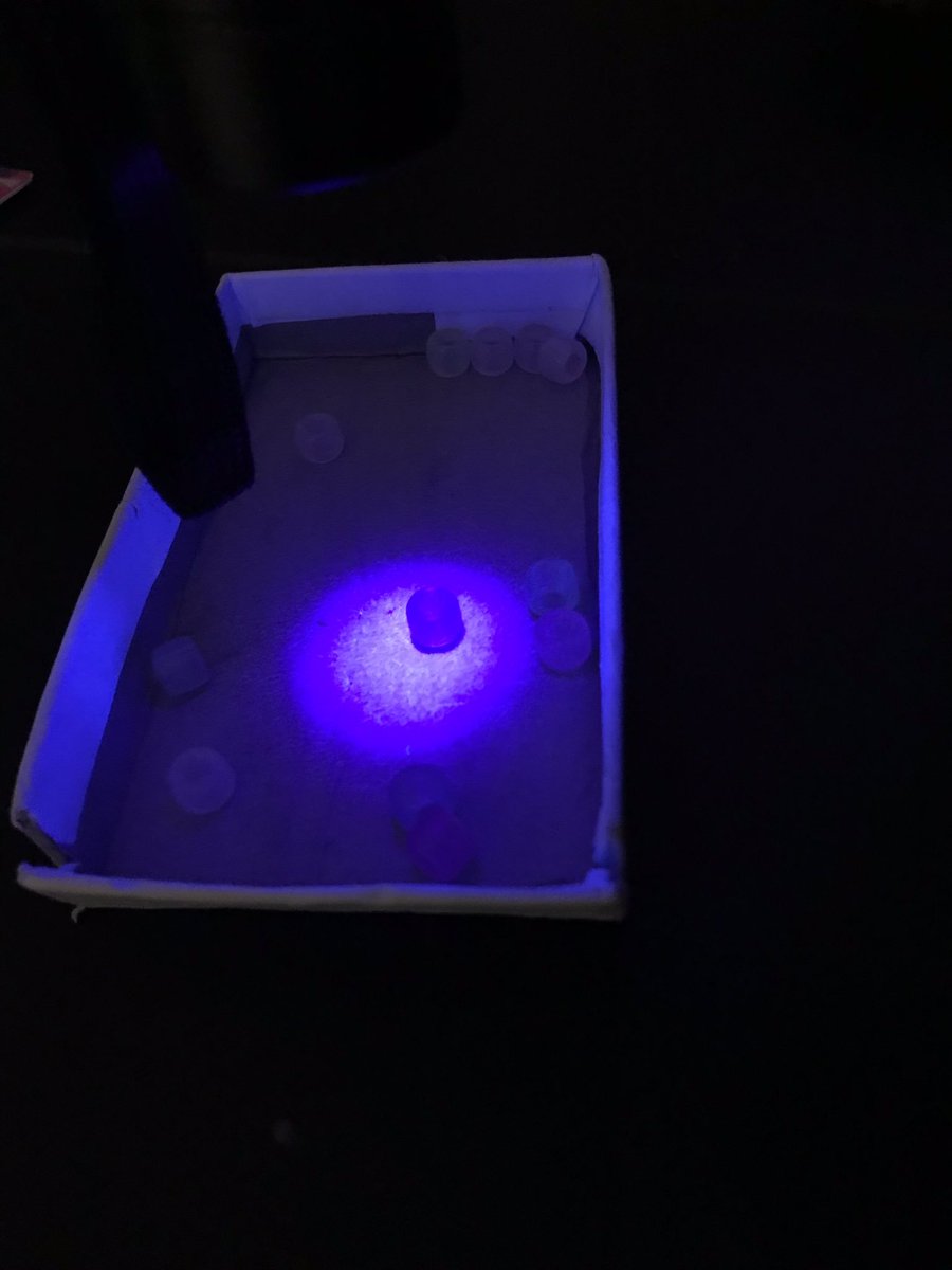 Never stop learning! Thanks @sciencenorth for an amazing PD. #sciencerules