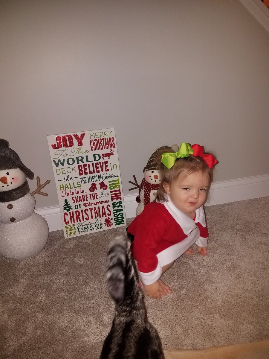 BriCanini's tweet photo. At least she's still cute 🤦♀️🤷♀️ #ChristmasCardFail https://t.co/VxfGe0K32c