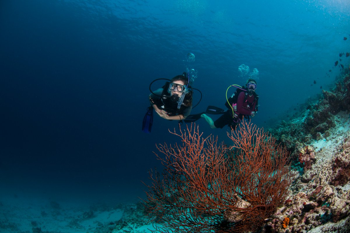 Gili Lankanfushi on Twitter: "We are located amidst the most #fascinating # dive sites in the #Maldives, discover #scuba diving with us!  @Mohamedseeneen… https://t.co/EtCcQS8eWB"