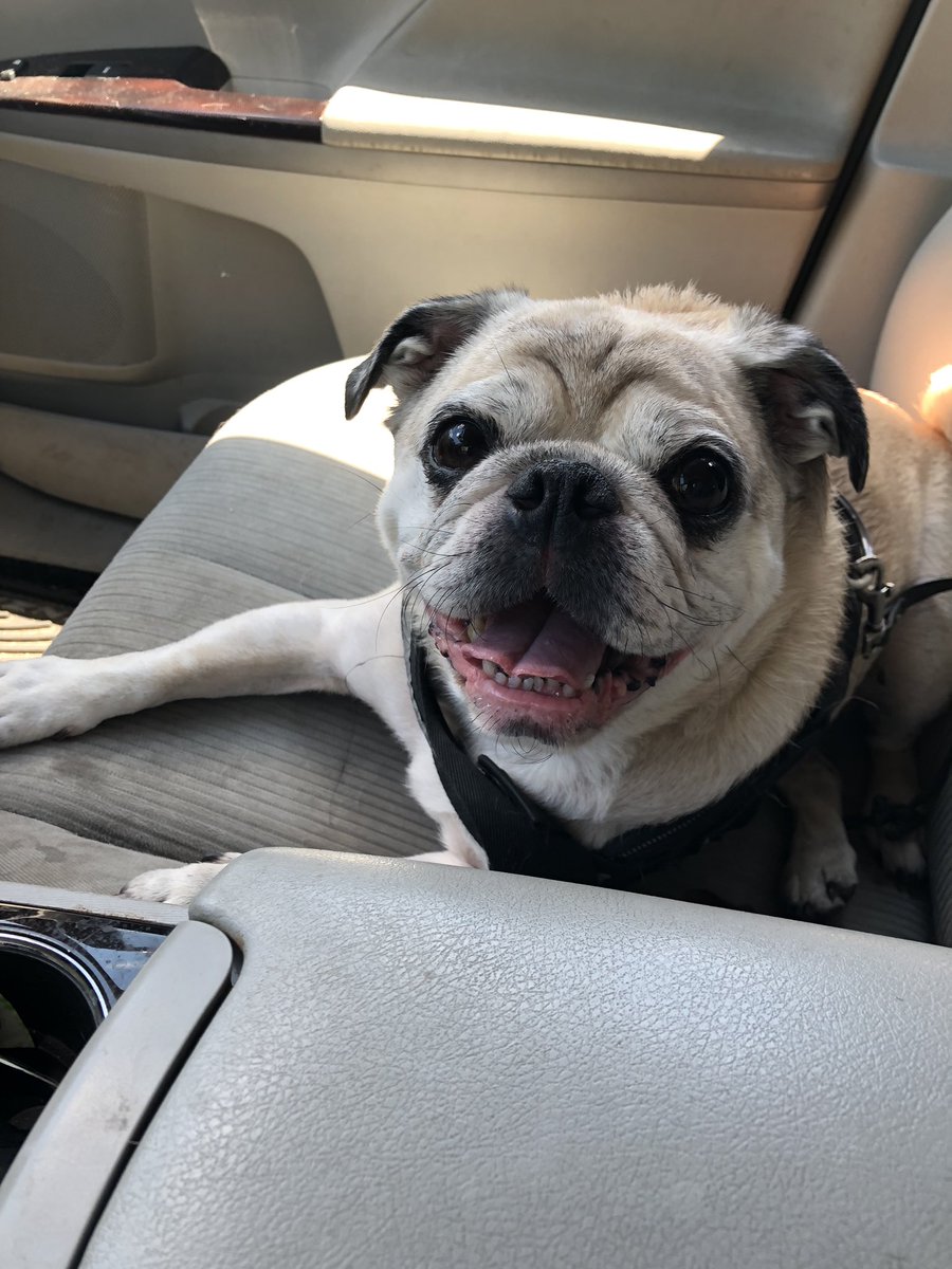 Some Guy Named Andy tweet media