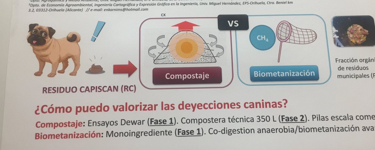 Encarni Martinez tweet media