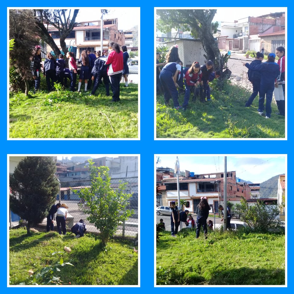 Culminación de la Limpieza y desmalezamiento de las áreas verdes. E.N.B.PADRE MAYA MUNICIPIO JÁUREGUI. <a href="/charlychaves/">Charly Rojas Chaves</a> <a href="/CLIFPJauregui/">CLIFPMV Jáuregui</a> @SPETachira @JorgePerezVZLA @psuvaristobulo <a href="/MPPE_VCEUP/">Viceministerio de Comunidades Educativas</a>