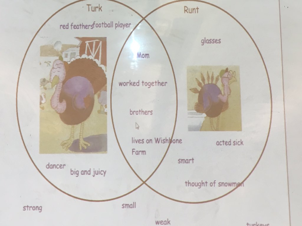 libraryfc's tweet image. Ss in @MissSmithFC ‘s class enjoyed @LisaWheelerBook ‘s Turk and Runt and then completed a #venndiagram! #Thanksgiving #comparingandcontrasting