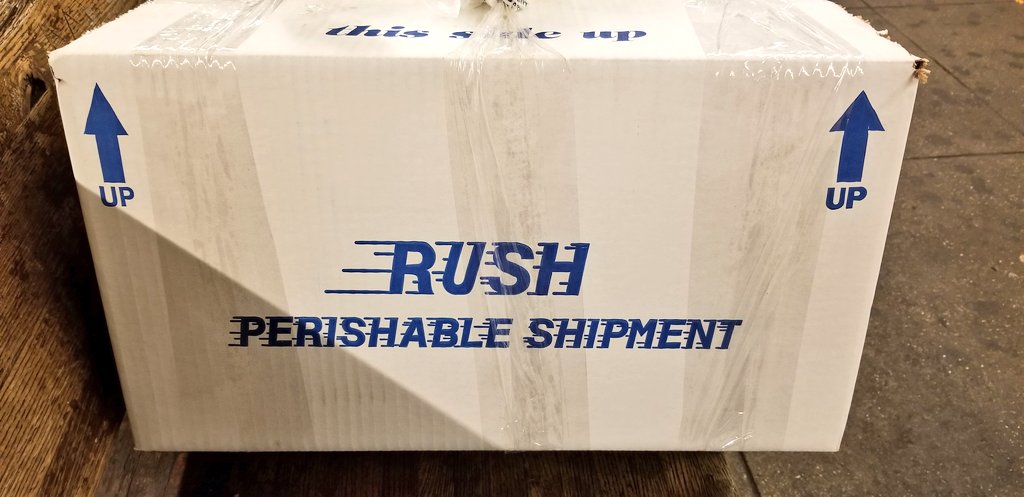 GSarafan's tweet image. Just stopped by a client&apos;s work to have him sign some paperwork (he is a seafood wholesaler) and he gave me a huge box filled with seafood. Scallops, lobster tails, a few different kinds of shrimp🦐, about a dozen sea bass filets🐟, and I dont even know what else. #BestClient