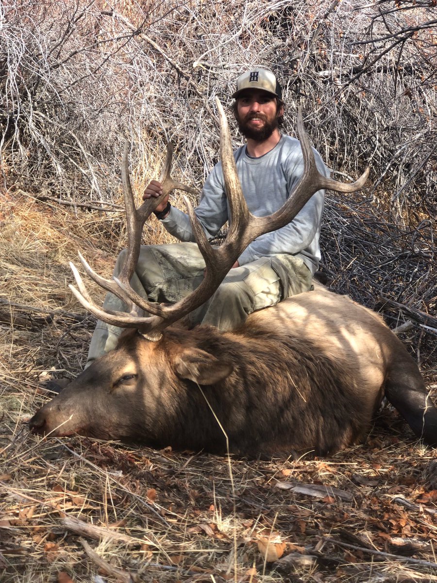 22kernz's tweet photo. With a little help and some luck I managed to fill my 2018 bull tag this week with little time to spare. https://t.co/VghjIWUoJY