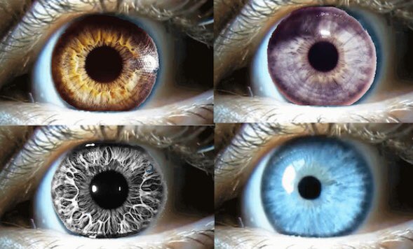 Last Monday forum update: Caroline Mawer showed us plans for her upcoming performance event - life cycles, embodied eyesight and responsive sound installation. Inspiring stuff! <a href="/caromawer/">Caroline Mawer</a>