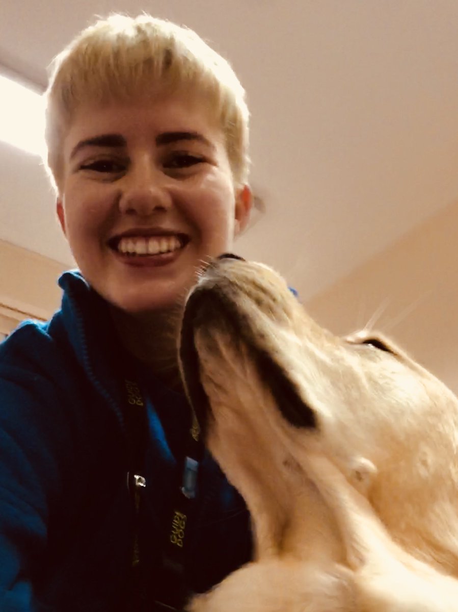 trainerrosie's tweet photo. We’re both smiling because I’ve finished my initial training 😀. Very excited (and just a bit nervous!) to get my very own dogs from Monday... so soon there’ll be Guide Dogs loose in the wild that I’ve trained 😮 #guidedogs #trainerintraining https://t.co/nnuLLd0RLJ