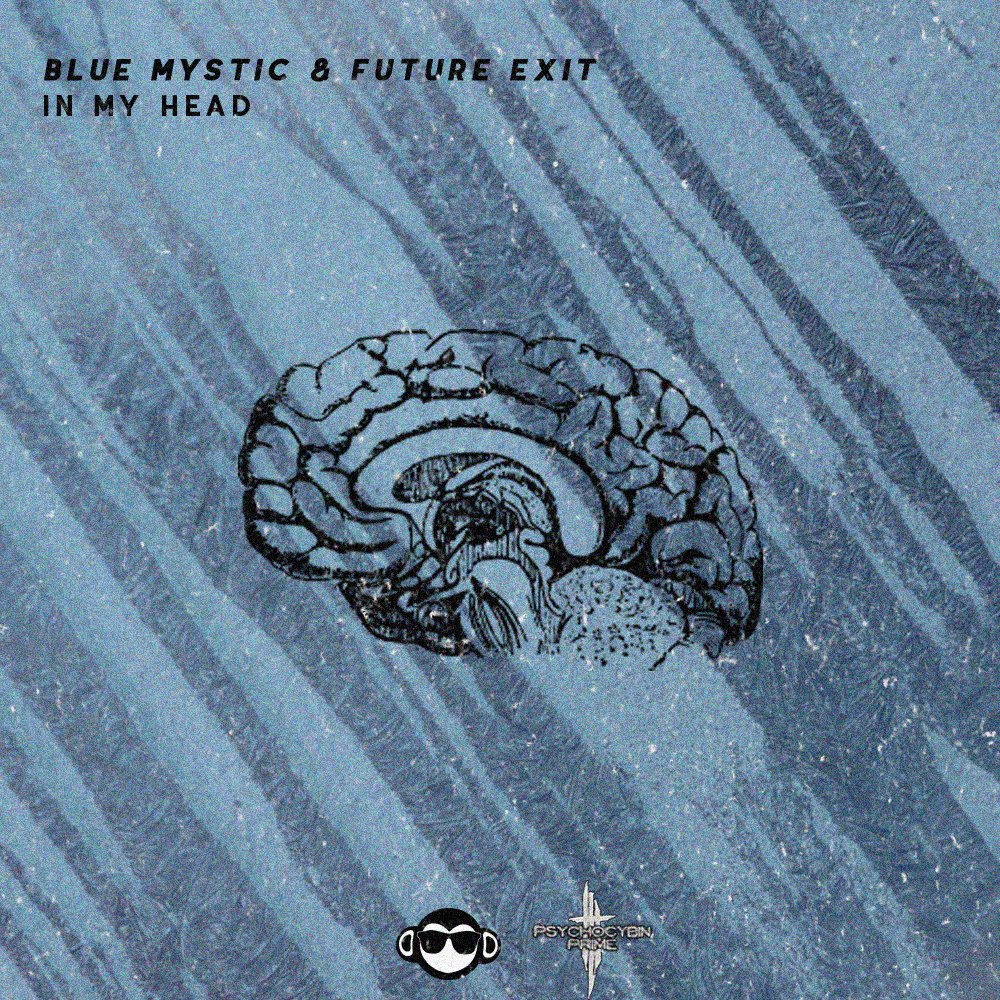 PsychocybinREC's tweet photo. Have you heard "In My Head" by Blue Mystic and FutureExit? It's a free download on Psychocybin Prime &amp; Get Monkey! #dubstep #edm #bassmusic #brostep #melodic #music https://t.co/sQCx2OUhVK