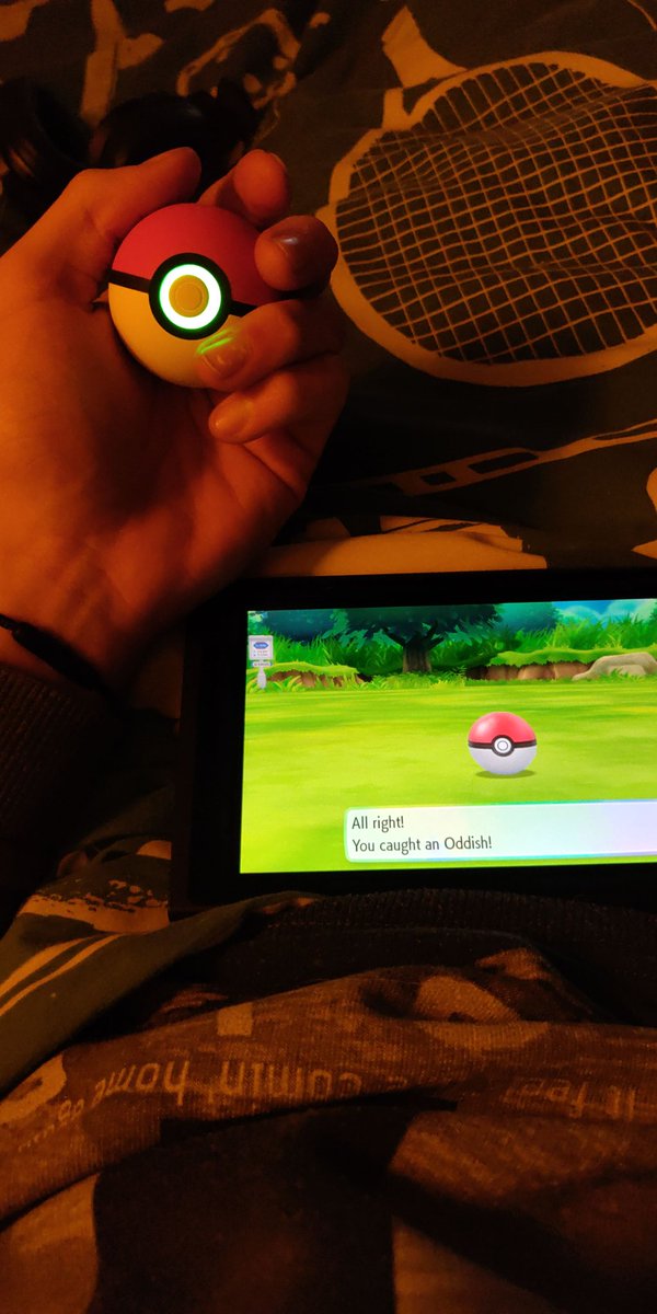 This is the good life