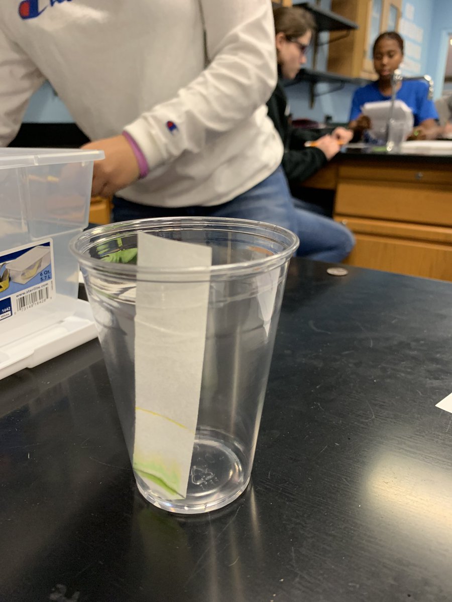 wernerbiology's tweet image. #CPbio separating the 4 pigments found in spinach leaves #chromatography #ISDstudentsdeserveit