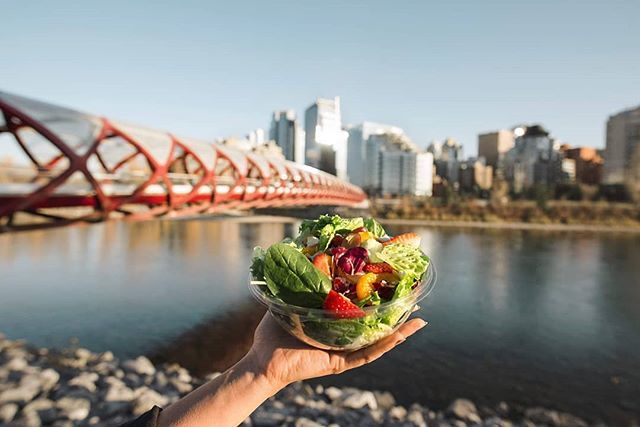 With the current weather situation, we're dreaming about green trees and green salads. At least we can make one of those things happen!