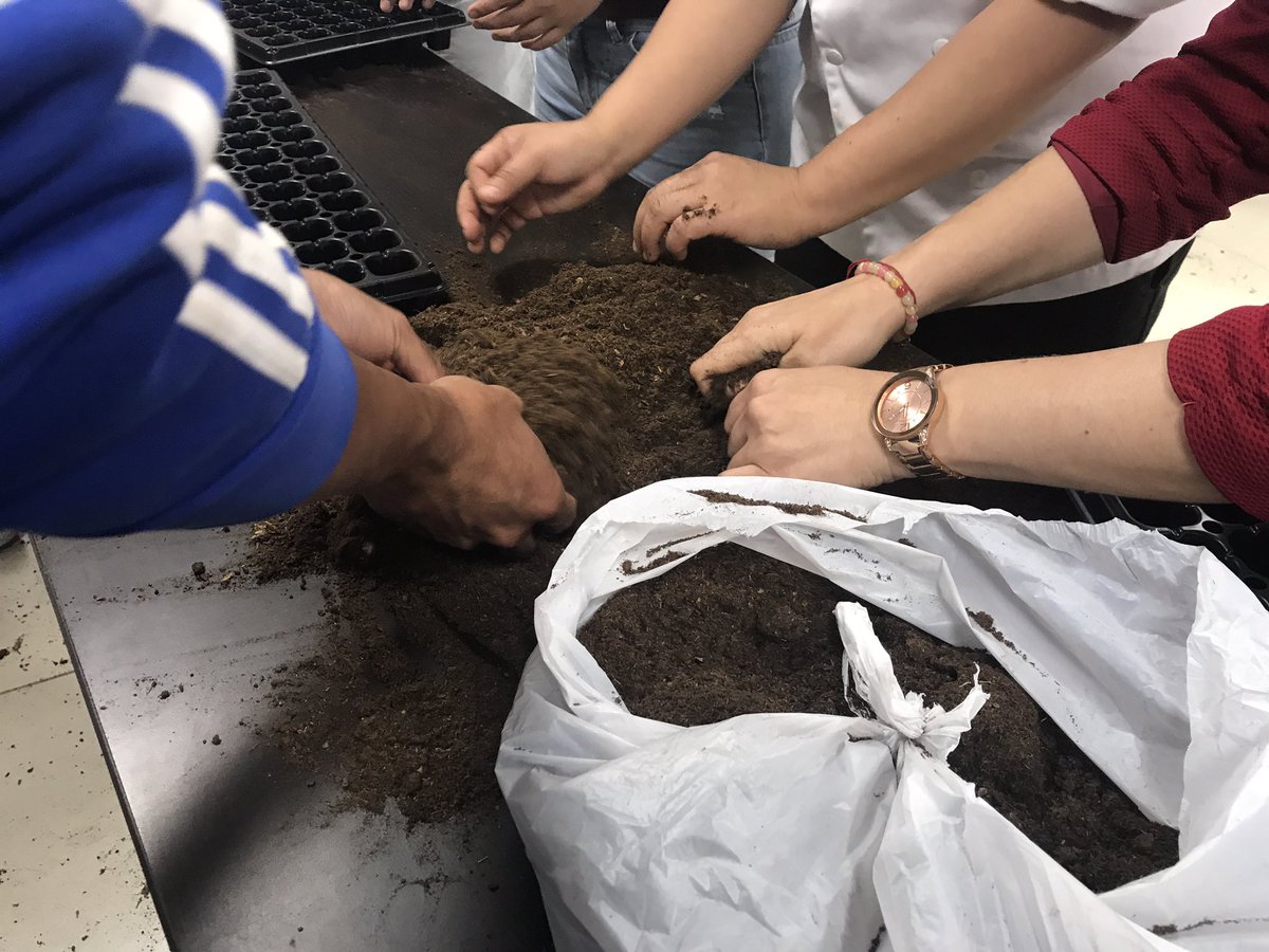 i_emprendedores's tweet photo. Fernando Aguilar, ingeniero agrónomo, lidera el taller de producción de biohuertos en el marco del proyecto #HealthyTeacher. #Biohuertos #ModoUSIL #IEUSIL https://t.co/hRcAcmL1Ze