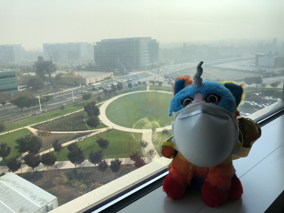 Current view of Sunnyvale. Stay inside and wear your N95 masks.