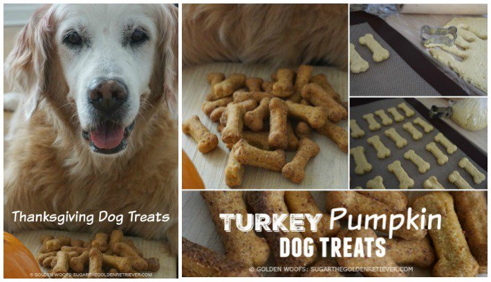 GoldenWoofs's tweet photo. Woofs for #homemade #Thanksgiving #dogtreats #bakingfordogs https://t.co/WfCta8JquP https://t.co/o1vdjfxUrx
