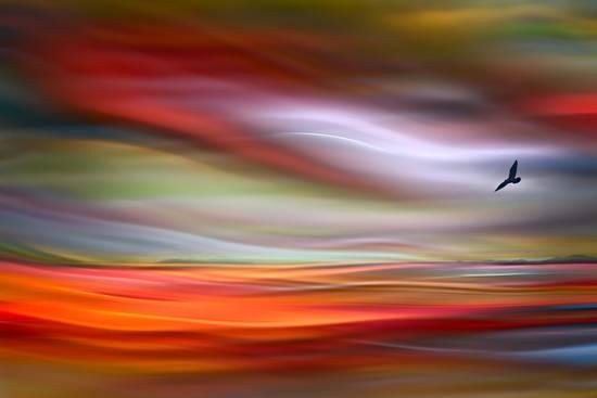 TheWisdomTree's tweet image. The soul becomes dyed with the colour of its thoughts.

Marcus Aurelius
Pic Ursula Abrecht 
RT ramblingsloa