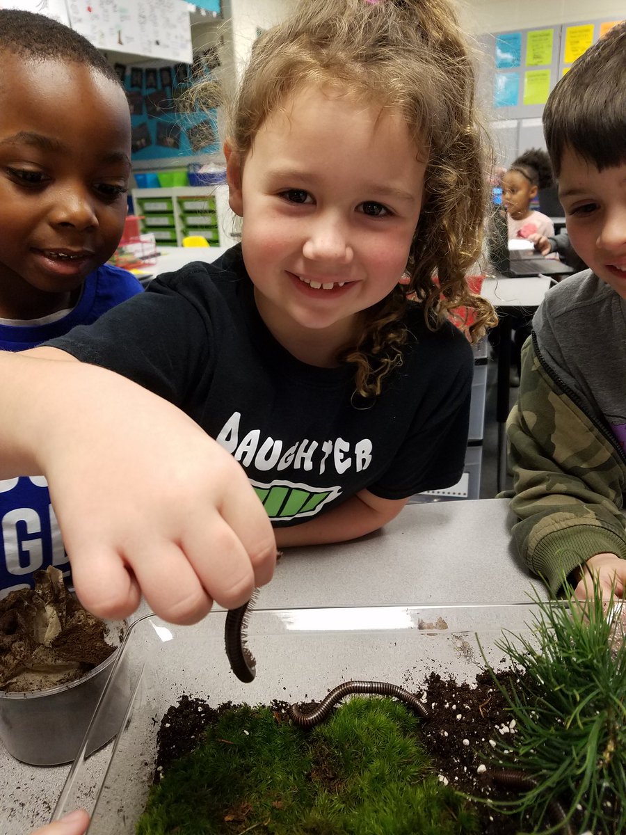 halpin1stgrade's tweet photo. We put together our  terrariums and got millipedes today!!! @TCBOE_LES #LearningtoLead https://t.co/4vllgJXzy0