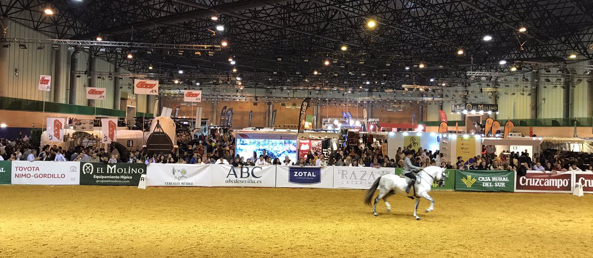 Paferon's tweet photo. Cumpliendo otro año más con la cita #SICAB2018 #caballos #CaballosPRE #CaballoEspañol 🐴🐎 https://t.co/EypVspMCfH