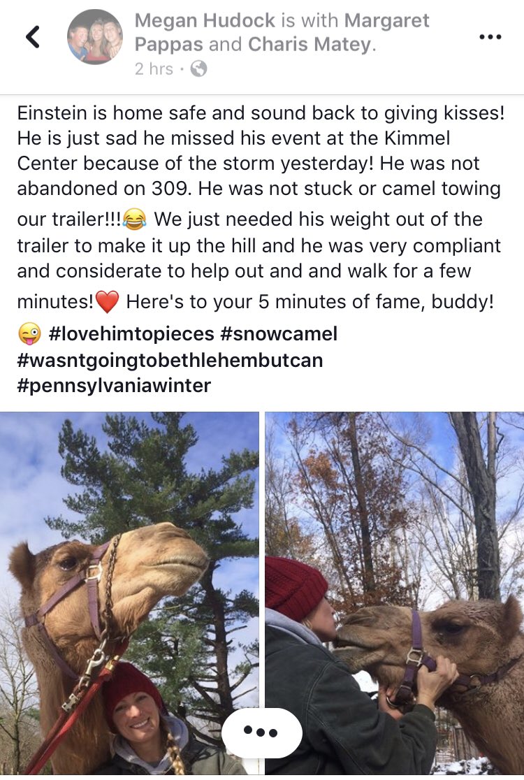 DawnBukaj's tweet image. And so now you know the rest of the story… #snowcamel #OnlyInPA 😊