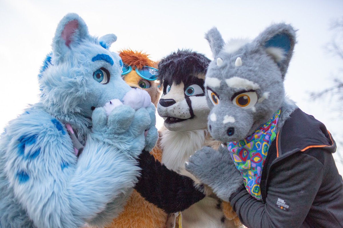 RolandPaws's tweet photo. #fursutfriday 📸 by @Wolfurryon
Fantastic four!
Colorful @Ryotsuke , PawAddicted @Tristankitty , Rope master @Wolfurryon and BiPolar Cat @RolandPaws ! And we are going to... oh, handpaws... *mmphpphmm*
At previous year #GLC2017 https://t.co/vx9oWY23cE