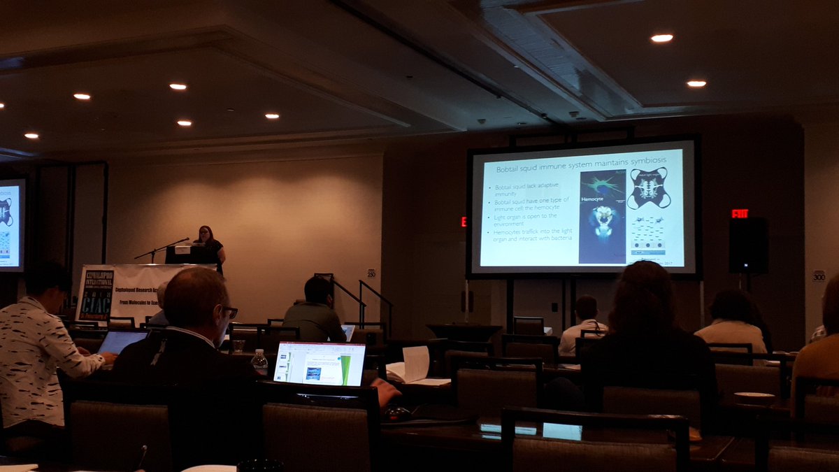 Holistic_Squid's tweet photo. The notorious @SarahMackAttack backing up a stellar karaoke appearance last night with an amazing description of the unique symbiosis between her cute bobtail squids and the bacteria vibrio fischeri #CIAC2018 https://t.co/nuSCH2pzCg