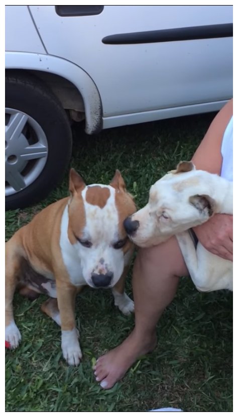 Squeebles tweet media