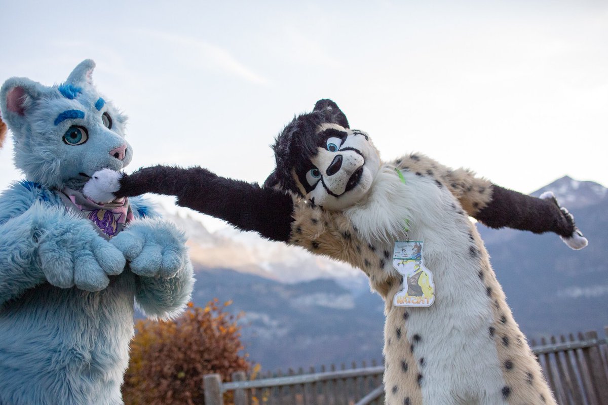 RolandPaws's tweet photo. #fursuitfriday 📸 by @Wolfurryon with @Tristankitty (last year #GLC2017 )
Handpaws! Handpaws!!! Handpaws!!! Mountains!!!! https://t.co/7JD6XyKIr8
