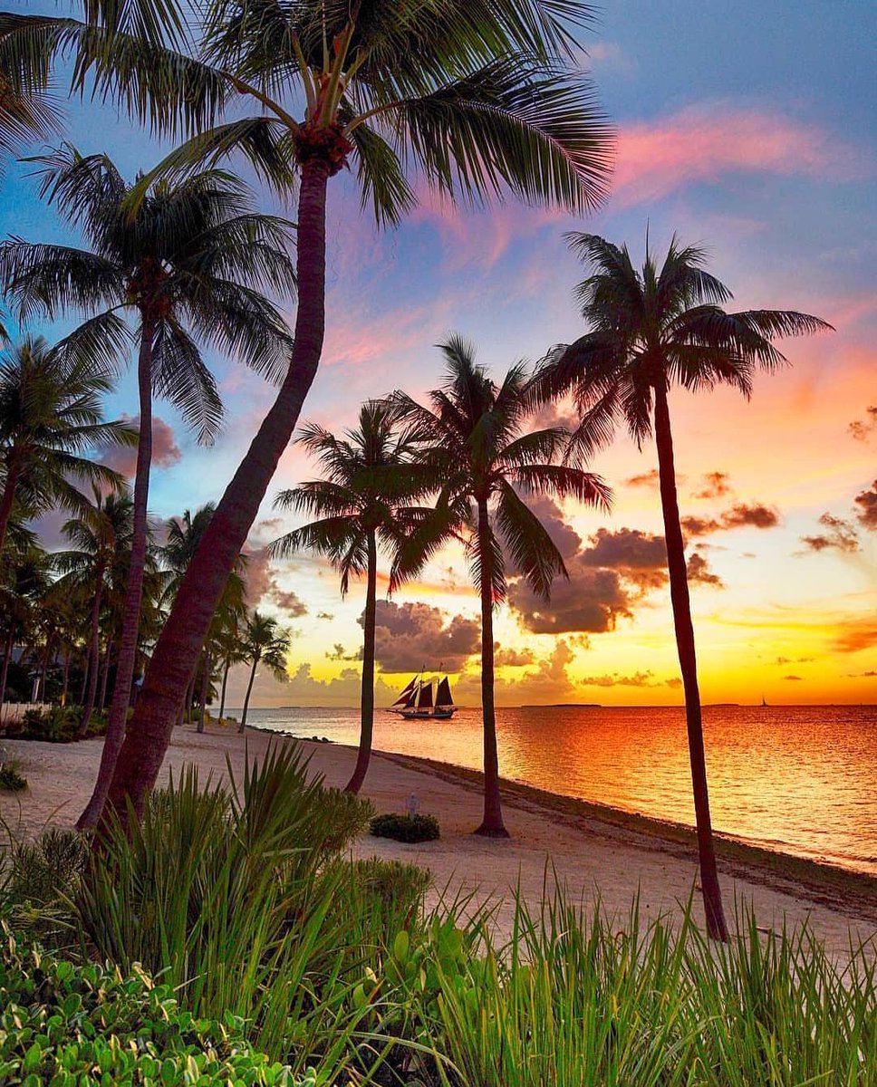While the rest of the US frosts over for winter, #KeyWest stays just beachy. 😎🌴🌅If you're planning a #Thanksgiving or #wintergetaway to #TheKeys, call us to book your IV Hydration Therapy in advance! (305) 912-4911 #HangoverHospital 

[📸 | staysaltyflorida | 📍 Sunset Key]