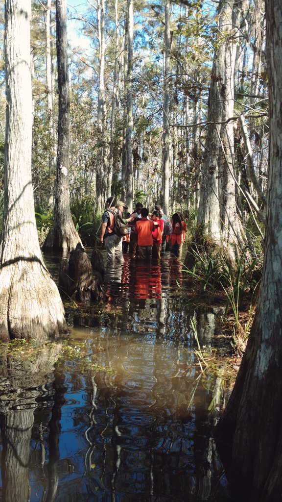 PiperEarthSpace's tweet photo. Spotted some 6th grade scientists taking water quality samples in Big Cypress National Preserve! https://t.co/iIrdGdwmae