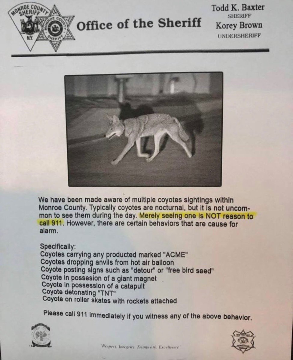 DavidLesch's tweet image. Made my day.