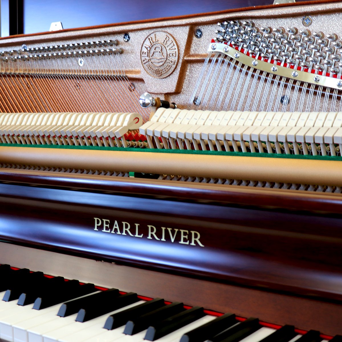 Our Pearl River pianos are elegant -- inside and out. The solid cast iron plate catches the light in a striking way, we've never seen a plate glitter like this one before! 

We're sure to have something catch your eye at Meyer Music.

meyermusic.com/pianos