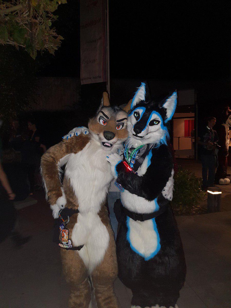 Luciensheppy's tweet photo. Still on time for #FursuitFriday !!
Achilles found a @Tom_Lord at #DFD2 / @DutchFurdance a while back!
Was fun hanging with you at DFD!
πΊ@Tom_Lord @kays0
πΈ:Huskye (misssing twitter handle)
β¨ππ»βοΈ:@Byaku_kun <3 https://t.co/dXD4rWxYm1