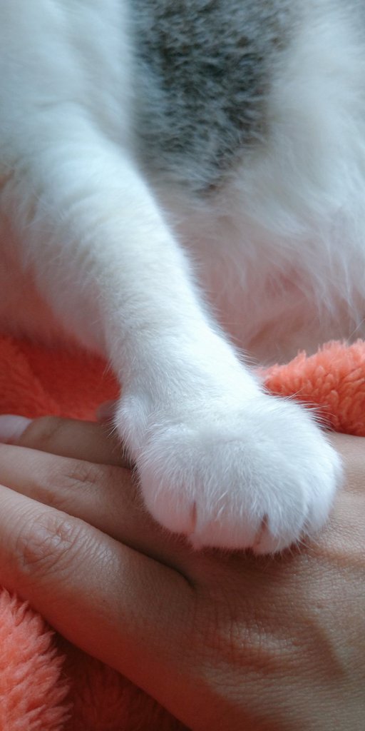 couldube's tweet image. Quando você toma coragem pra se mover no feriado, vem a vida e te bloqueia com o martelo do Thor: