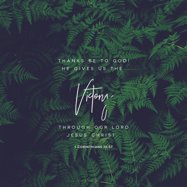 FcaTribe's tweet photo. Give Thanks Always to Christ! https://t.co/Oy8HvToDoO