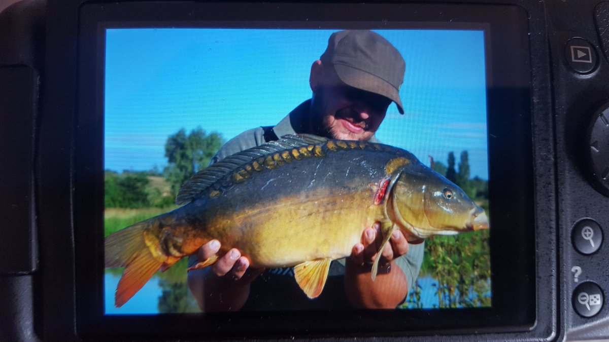 TheBanktramp's tweet photo. Some of this years river carps 👌👌#riverlife #rivercarps #baitworks https://t.co/PgUCpDNK1W