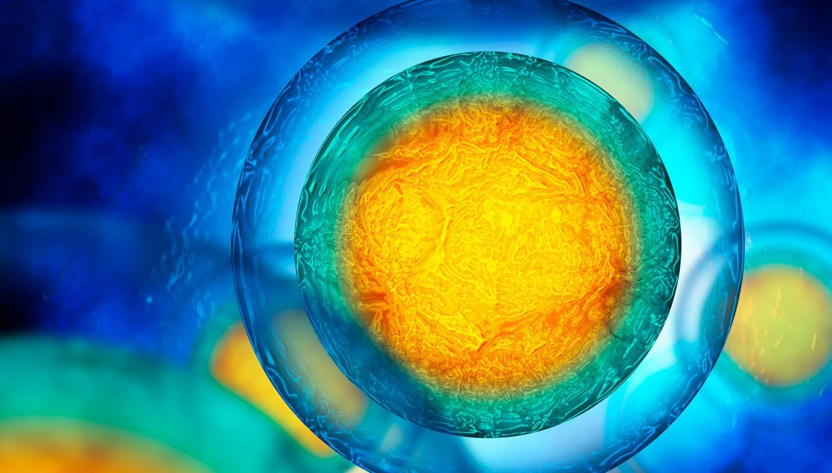 Concordia's tweet photo. $5.2M for @CRC_CRC's at #Concordia! The funding will support #univresearch in #bigdata, #IoT, #synbio, #gamedesign and other new research projects. Read more: https://t.co/JQ5FKYhcxj https://t.co/D3O5isROWO