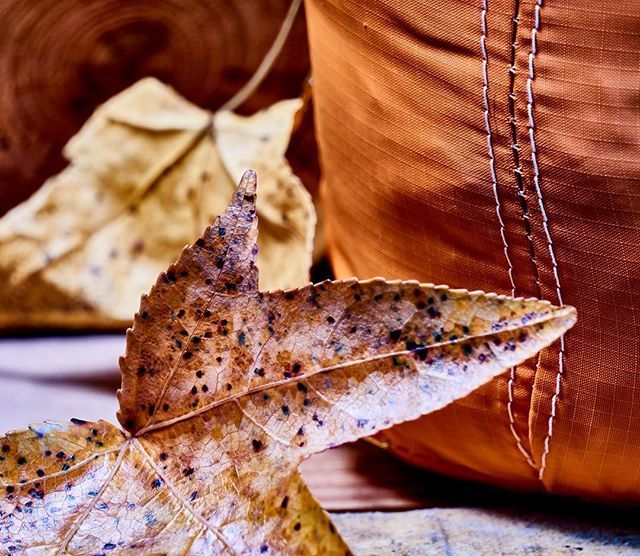 OutGearRec's tweet image. We love fall colors!  Do you? #hammock #orange