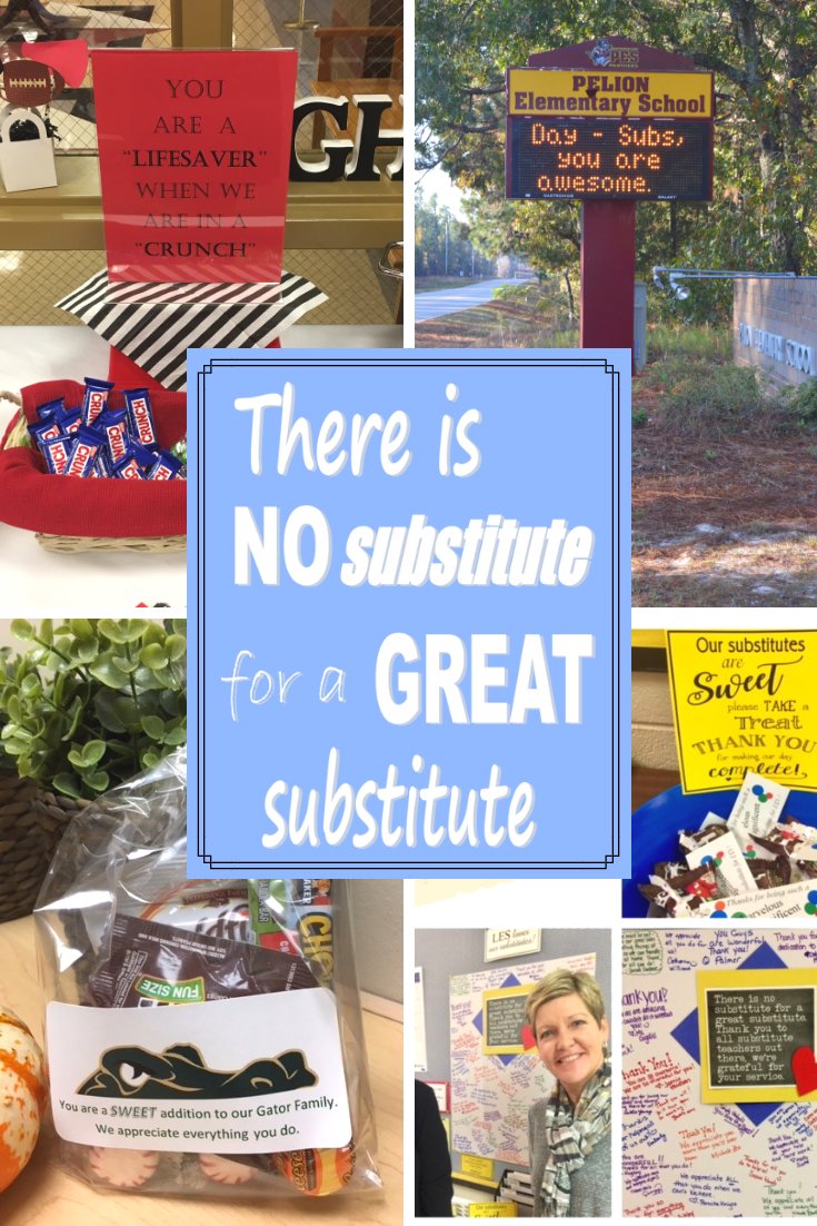 We cannot let the day slip by without recognizing our #substitutes for the amazing job they do on a daily basis.  Thank you for stepping up to the plate on short notice to keep the learning going - your dedication to our students is simply amazing!  Happy Substitute Educators Day