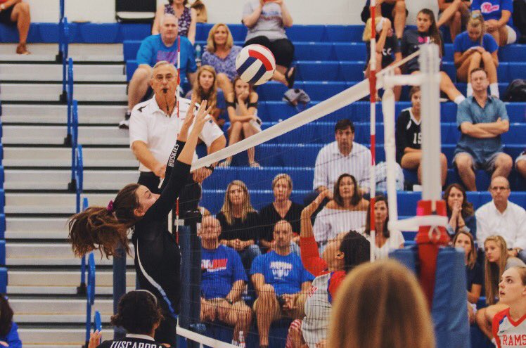 MDunnnigan's tweet photo. Honored to be named 1st Team All District and 2nd Team All Region Outside Hitter/DS #jrszn @TuscaroraVBall https://t.co/ZWAzEJTwSW
