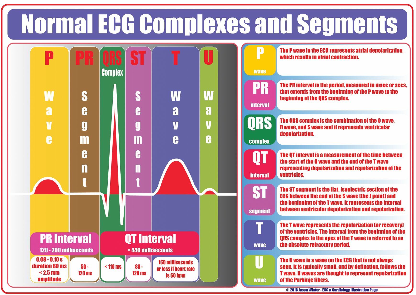 Emergency Nurses Two Infographics Normal Ecg Complexes And Segments Ecg Rules Of 4 S Nurse Nursecommunity Studentnurse Nursingstudent T Co Nlzvegk4dw