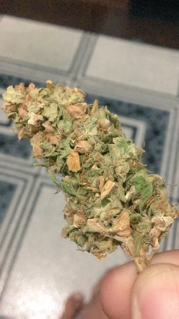 sdanilo_'s tweet photo. Posto mesmo porque é minha. #autohaze https://t.co/S0annSb9dm