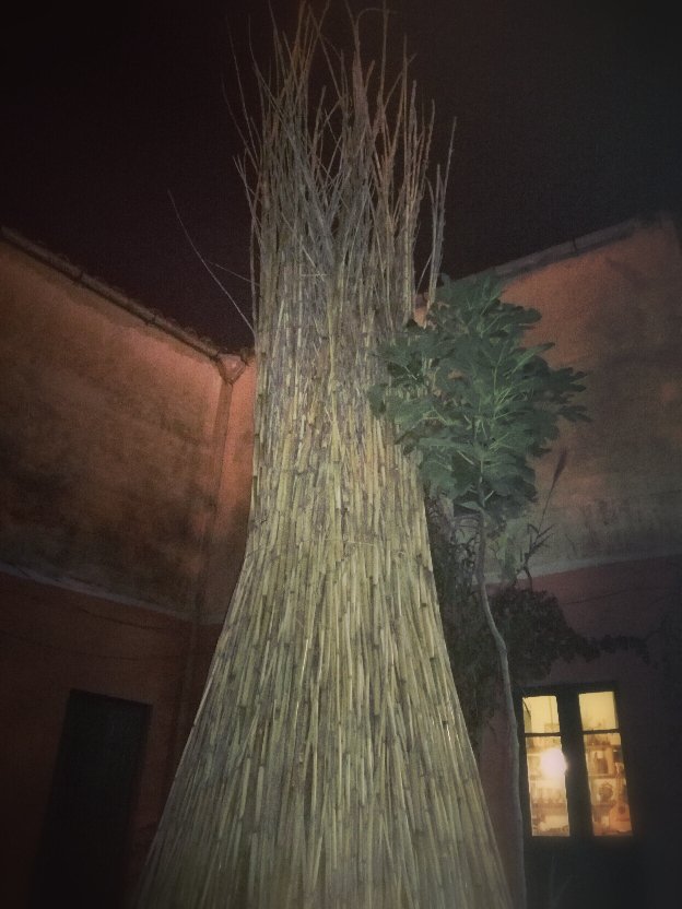 Un árbol completamente hecho de las mismas cañas que se utilizan para construir las #launeddas.