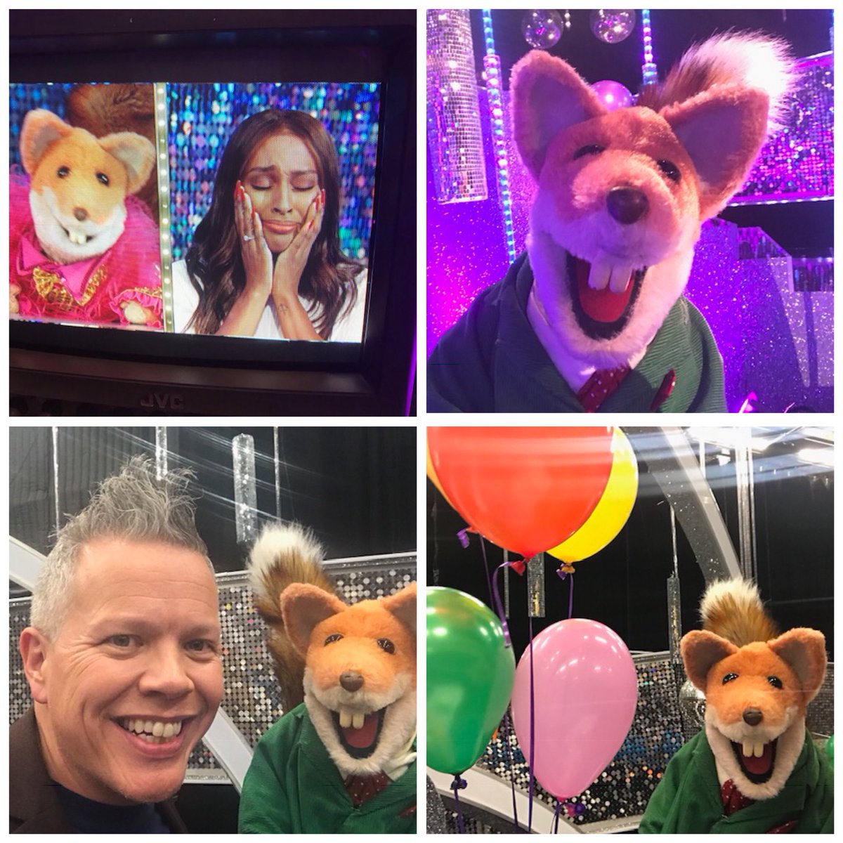 Basil Brush on Twitter "What a great night StrictlyITT thank you Miss