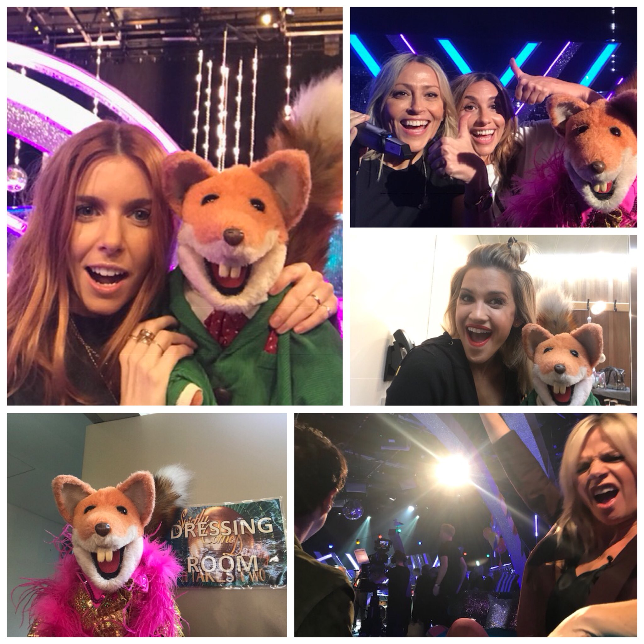 Basil Brush on Twitter "What a great night StrictlyITT thank you Miss