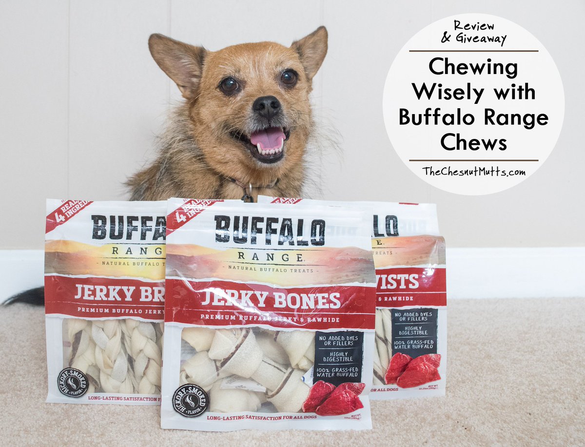 TheChesnutMutts's tweet image. .@BuffaloRngChews are high-quality rawhide chews and come in many different shapes to please your pup!

Read our review and enter the giveaway where you can win chews for your dog as well as your favorite shelter! bit.ly/BRTCM #ad